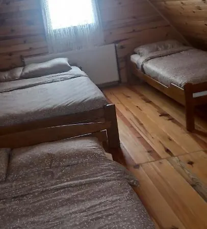 Porodicna Brvnara Ivanovic