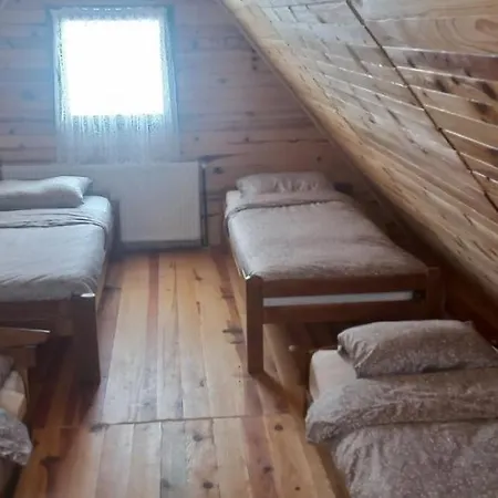 Porodicna Brvnara Ivanovic *