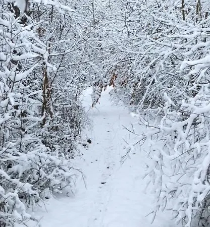 Porodicna Brvnara Ivanovic Апартаменты *