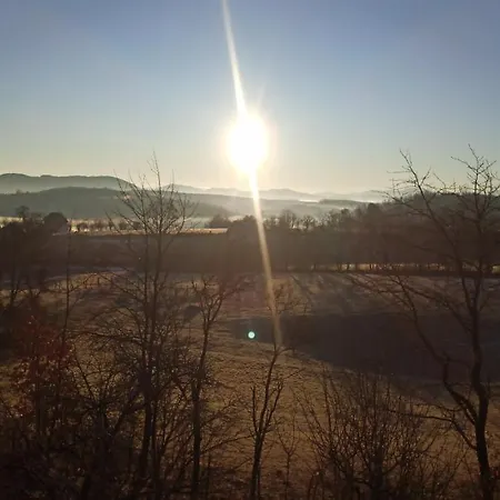 Porodicna Brvnara Ivanovic Апартаменты *